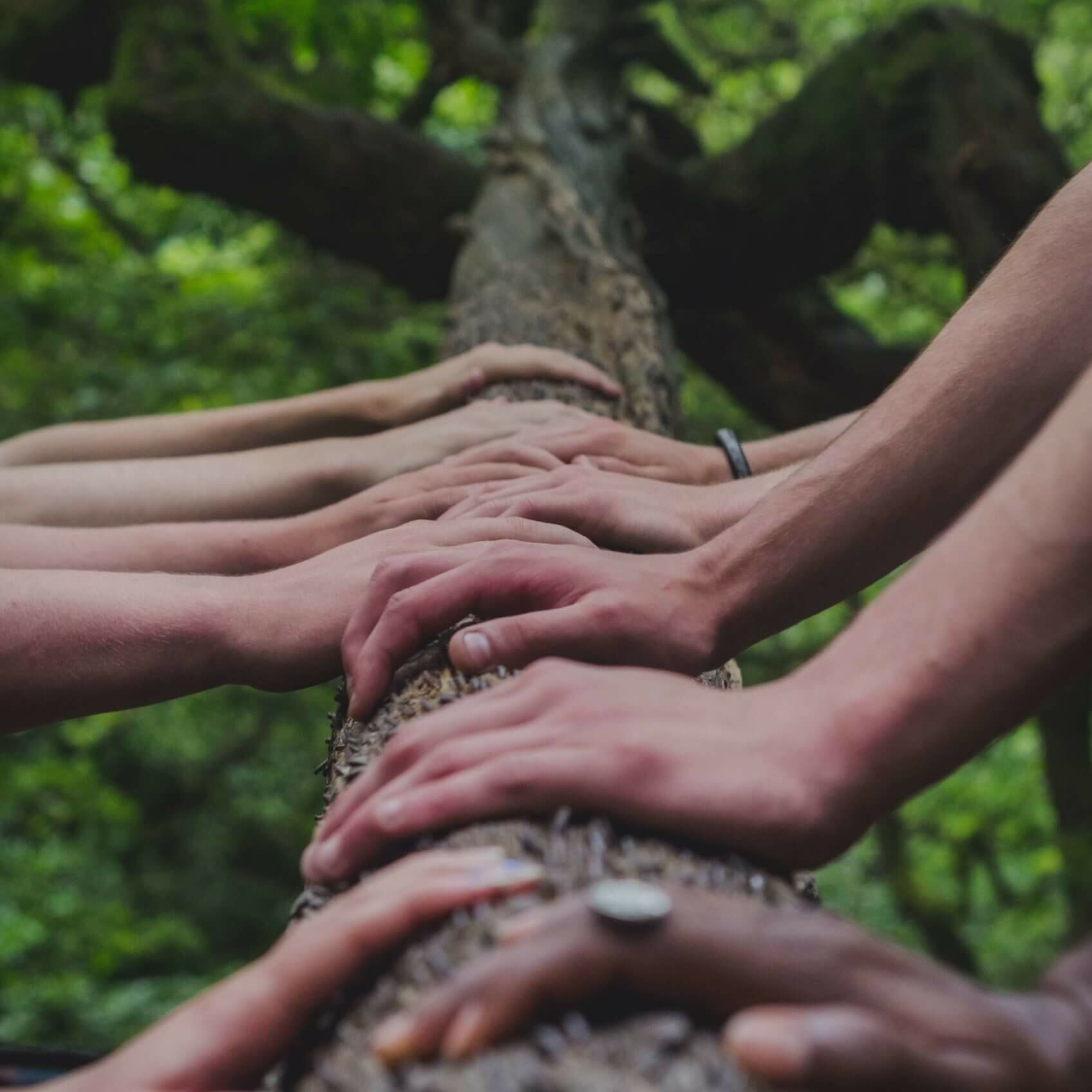 tree-teens-group-photo